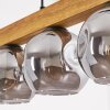 Ripoll lampa wisząca, kula świetlna, lampa wisząca kolory naturalne, czarny, 5-punktowe