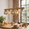 Ripoll lampa wisząca, kula świetlna, lampa wisząca kolory naturalne, czarny, 5-punktowe