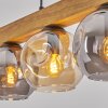 Ripoll lampa wisząca, kula świetlna, lampa wisząca kolory naturalne, czarny, 5-punktowe