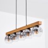 Ripoll lampa wisząca, kula świetlna, lampa wisząca kolory naturalne, czarny, 5-punktowe