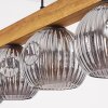 Ripoll lampa wisząca, kula świetlna, lampa wisząca kolory naturalne, czarny, 5-punktowe