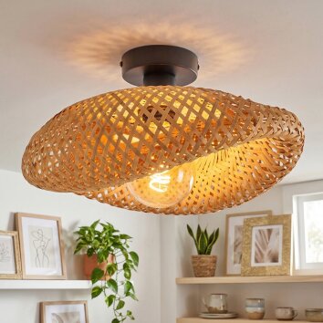 Bauro lampa sufitowa czarny, 1-punktowy