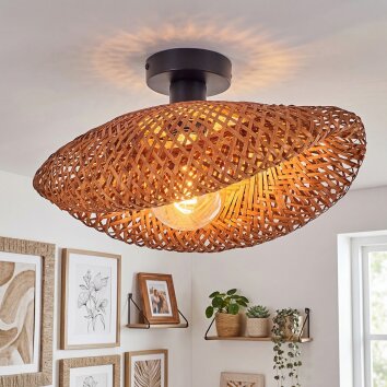 Bauro lampa sufitowa czarny, 1-punktowy