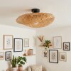 Bauro lampa sufitowa czarny, 1-punktowy