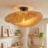 Bauro lampa sufitowa czarny, 1-punktowy