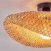 Bauro lampa sufitowa czarny, 1-punktowy