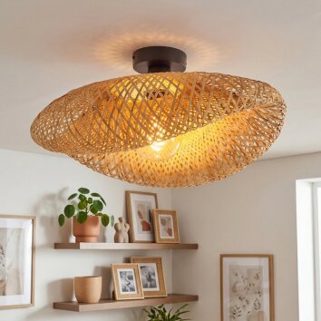 Bauro lampa sufitowa czarny, 1-punktowy