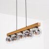 Ripoll lampa wisząca, kula świetlna, lampa wisząca kolory naturalne, czarny, 5-punktowe