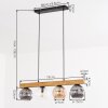 Ripoll lampa wisząca, kula świetlna, lampa wisząca kolory naturalne, czarny, 4-punktowe