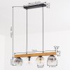 Ripoll lampa wisząca, kula świetlna, lampa wisząca kolory naturalne, czarny, 4-punktowe