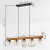Ripoll lampa wisząca, kula świetlna, lampa wisząca kolory naturalne, czarny, 5-punktowe