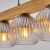 Ripoll lampa wisząca, kula świetlna, lampa wisząca kolory naturalne, czarny, 5-punktowe
