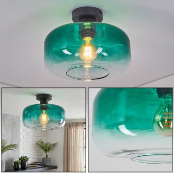 Boza lampa sufitowa zielony, przezroczysty, 1-punktowy
