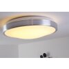 Wutach lampa sufitowa LED aluminium, 1-punktowy
