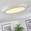Finsrud Lampa Sufitowa LED biały, 1-punktowy