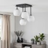Ripoll lampa sufitowa 4-punktowa z kulistymi mlecznymi kloszami szklanymi