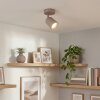Lemak LED spot sufitowy piaskowy, reflektor sufitowy GU10 z ruchomą głowicą