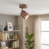 Lemak LED regulowany spot sufitowy miedziany GU10 z obrotową głowicą