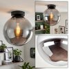 Gastor plafon sufitowy szklany, lampa sufitowa kula z dymionego szkła E27