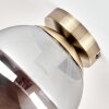 Plafon Gastor lampa sufitowa ze szklaną kulą, dymiony klosz, E27, mosiądz