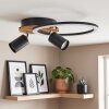 Velani plafon LED z regulowanymi spotami, 2-punktowa lampa sufitowa