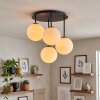 Gastor lampa sufitowa 4-punktowa z kulistymi kloszami E14 do salonu i jadalni