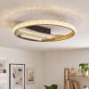 Calista plafon LED okrągły ø 29,5 cm, płaska lampa sufitowa 3000–6000 Kelvin