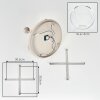 Koyoto lampa sufitowa kulista 5-punktowa E14, kuliste klosze do salonu i jadalni