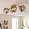 Koyoto plafon sufitowy, lampa sufitowa 4-punktowa E14 z kulistymi kloszami