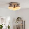 Eloria lampa sufitowa plafon 3-punktowy, okrągła, gwint E27, Ø 31,5 cm