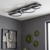 Kordex LED plafon sufitowy z pierścieniami, nowoczesna lampa sufitowa