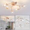 Chehalis lampa sufitowa z kulami 6-punktowa G9, plafon do salonu i jadalni