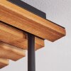 Koyoto lampa sufitowa 4-punktowa z kulistymi kloszami E14 do salonu