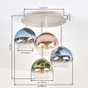 Koyoto lampa sufitowa, plafon 4-punktowy z kulistymi kloszami Ø 38 cm