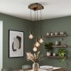 Avestruz lampa wisząca 4-punktowa E27 do jadalni, długość 20 cm, retro