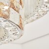 Seloria nowoczesny plafon LED z pilotem do salonu i jadalni, okrągły Ø 61 cm