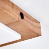 Alvorn regulowana lampa sufitowa E27, obrotowo-uchylna głowica, walcowy klosz