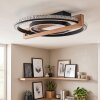 Selani plafon LED okrągły z pilotem, płaska lampa sufitowa do salonu