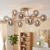 Chehalis lampa sufitowa kulista G9, 12-punktowa, ø 76 cm do salonu i jadalni
