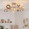 Chehalis kulista lampa sufitowa do salonu i jadalni, G9, 12-punktowa, Ø 76 cm