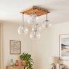 Koyoto lampa sufitowa z kulistymi kloszami, plafon 5-punktowy E14
