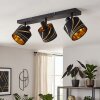 Alsen plafon sufitowy, lampa sufitowa 3-punktowa E14 z regulowanymi kloszami