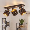 Alsen plafon sufitowy, lampa sufitowa 3-punktowa E14 z regulowanymi kloszami