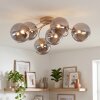Chehalis lampa sufitowa z kulistymi kloszami G9, 6-punktowa, ø 64 cm