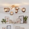 Chehalis lampa sufitowa kule 6-punktowa G9, plafon z falistymi ramionami