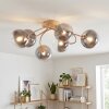 Chehalis lampa sufitowa kule 6-punktowa G9, plafon z falistymi ramionami
