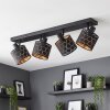 Alsen lampa sufitowa spotowa 4-punktowa z ażurowymi regulowanymi kloszami