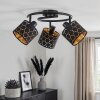 Alsen lampa sufitowa 3-punktowa E14 z regulowanymi głowicami, ażurowe klosze
