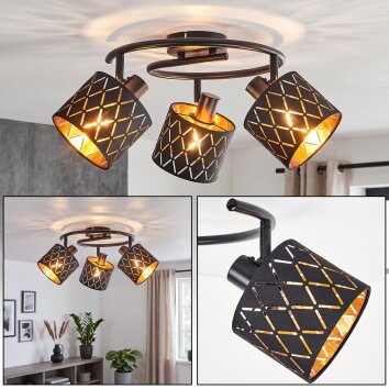 Alsen lampa sufitowa plafon 3-punktowy z regulowanymi reflektorami E14