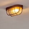 Catawba Lampa Sufitowa Rdzawy, 1-punktowy